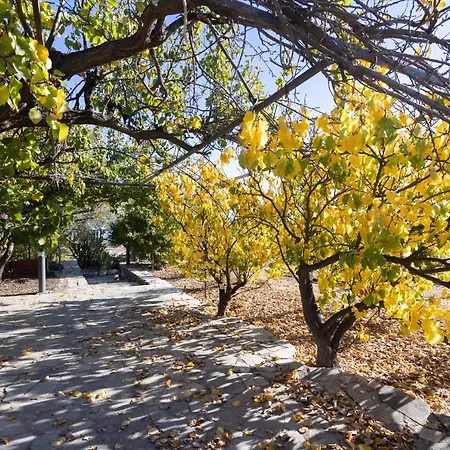 Alta Montana 3* 维拉弗洛尔