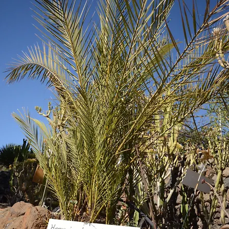 Alta Montana Вилафлор