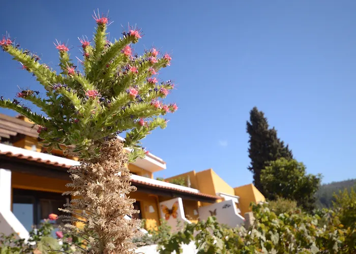 Hotell Alta Montana 3*