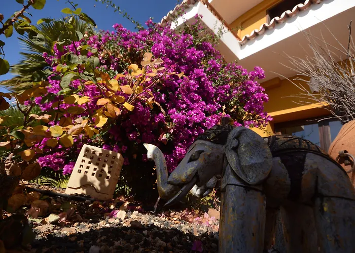 Alta Montana 3* Vilaflor