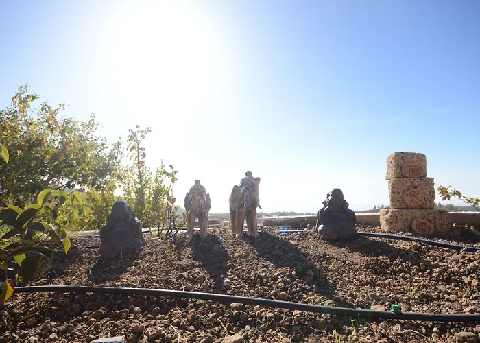 Hotell Alta Montana 3*